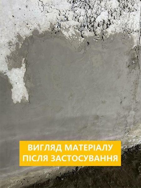 PENETRON Surfix Blend Patch (цементна суміш) фото